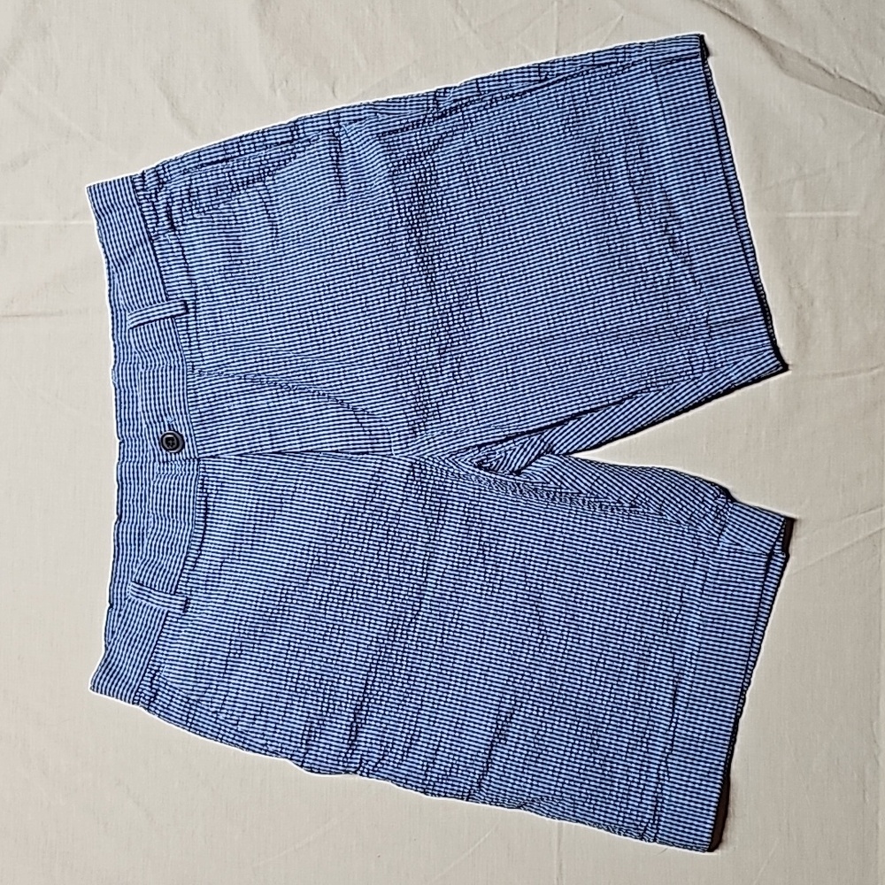 Brooks Brothers blue checked shorts
